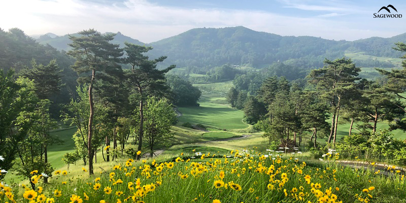 
                                        해발 765m 청정자연에서 즐기는 고품격 힐링